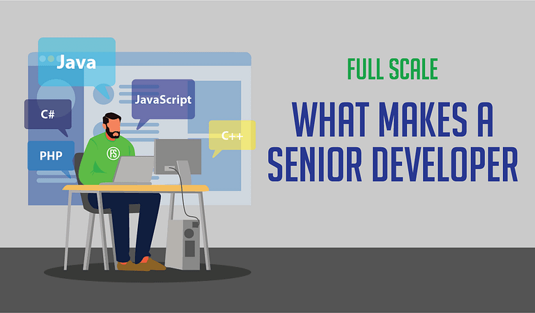 What is a Senior Developer