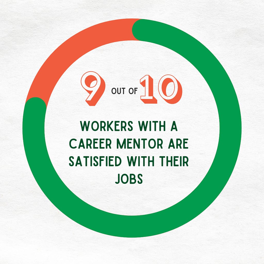 Statistics on Software Engineer Mentor