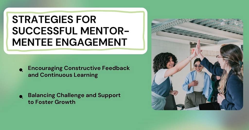 Software Engineer Mentorship