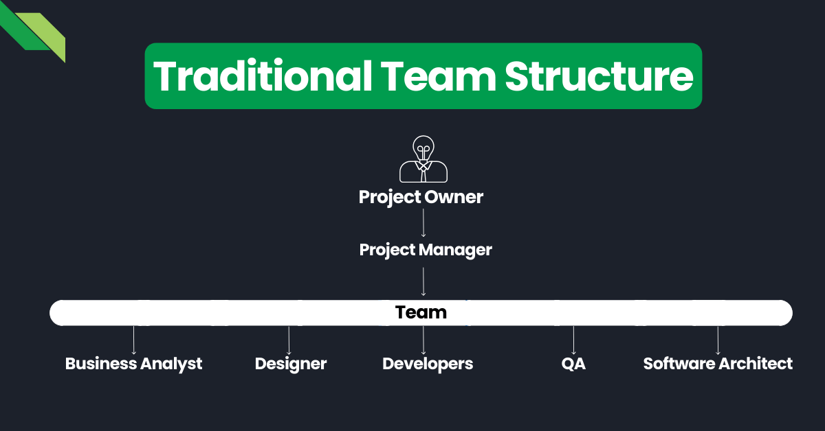 Diagram illustrating a traditional team structure with a project owner at the top, followed by a project manager, and team members including a business analyst, designer, developers, qa, and software architect.