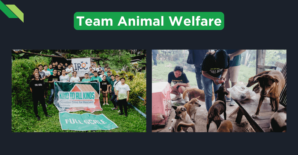 Two images: The left shows a group holding signs that read "Kind To All Kinds" and "IRO - Coalition Drive for Rescue". The right captures Outreach Day 2024 with a team feeding and caring for multiple dogs in an outdoor setting.